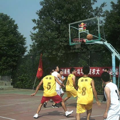 DSCF0178