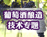 葡萄酒酿造技术专题――葡萄酒酿酒师的华丽诗篇