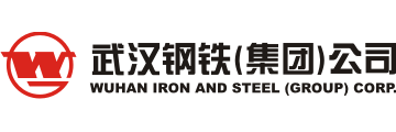 武漢鋼鐵（集團）公司