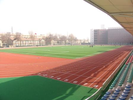 天津铁道职业技术学院办公室环境特写-金针菇