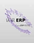 ERP����ʷ