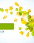 �Ա�Ӫ��-��Ʒ�߻�