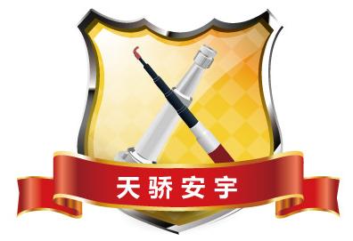 上海天骄安宇消防工程技术有限公司,【招聘信