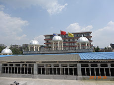 限公司_四川德福投资集团有限公司最新招聘_