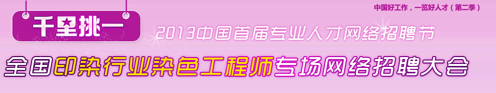 2013ȫӡȾҵȾɫʦרƸ
