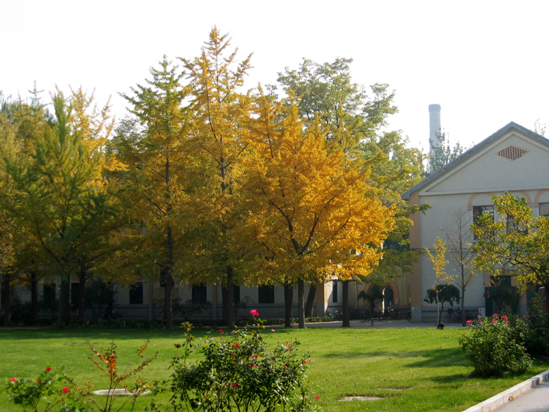 北京科技大学