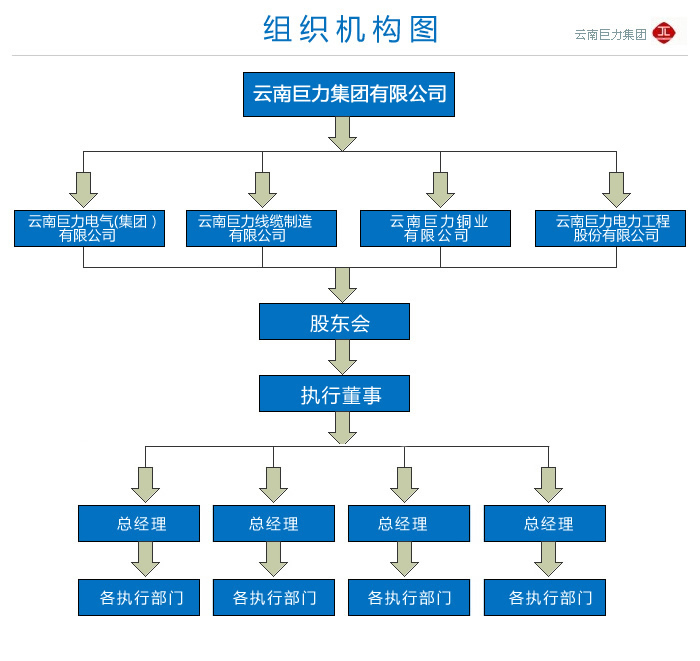 云南巨力电气(集团)有限公司